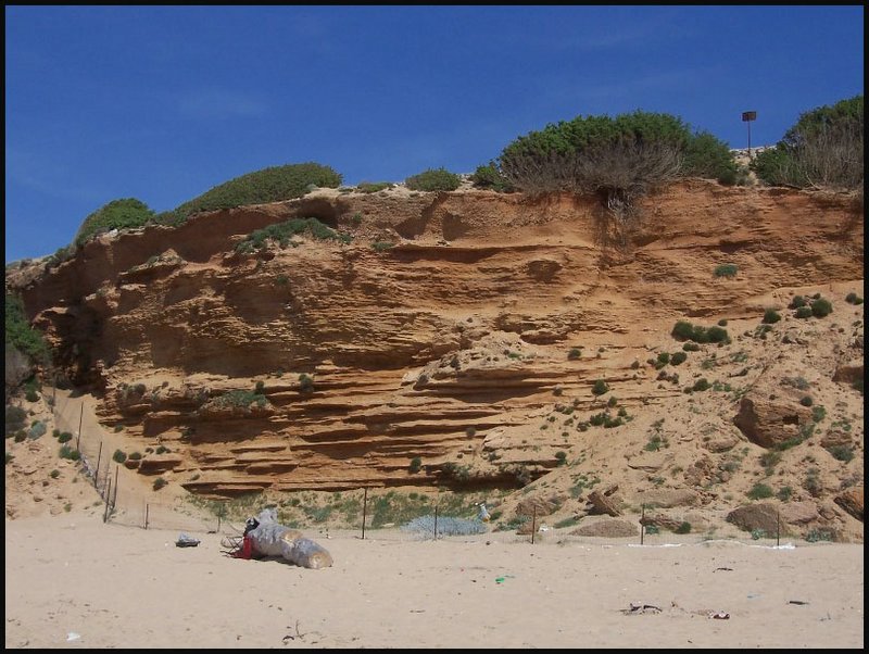 SCIVU Sardegna Sud  Occidentale